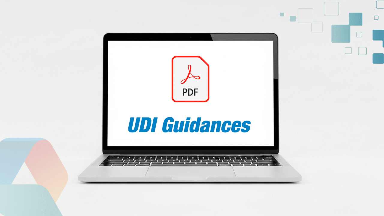 You are currently viewing UDI Guidance